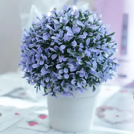 Апартаменты Step *