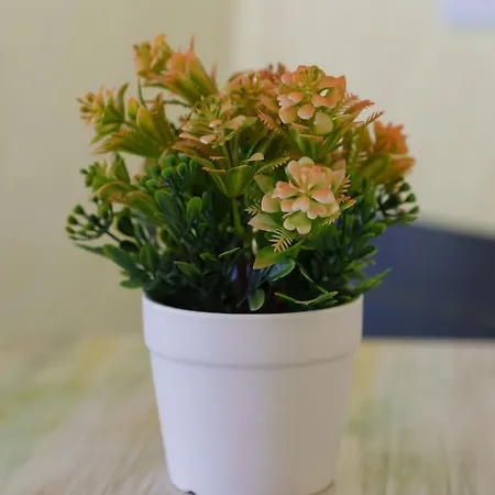 Step Апартаменты *